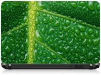 Box 18 Watered Leaf Abstract 1949 Vinyl Laptop Decal 15.6   Laptop Accessories  (Box 18)
