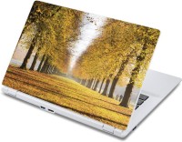 ezyPRNT Synchronized Trees Nature (13 to 13.9 inch) Vinyl Laptop Decal 13   Laptop Accessories  (ezyPRNT)