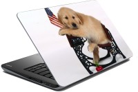 meSleep Dog LS-57-105 Vinyl Laptop Decal 15.6   Laptop Accessories  (meSleep)