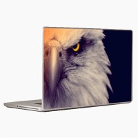 Theskinmantra Im Watching You Laptop Decal 13.3   Laptop Accessories  (Theskinmantra)