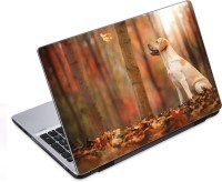 ezyPRNT Dog looks at leaf Pet Animal (14 to 14.9 inch) Vinyl Laptop Decal 14   Laptop Accessories  (ezyPRNT)