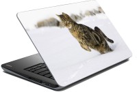 meSleep Cat 70-588 Vinyl Laptop Decal 15.6   Laptop Accessories  (meSleep)