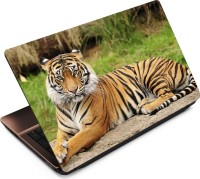 Anweshas Tiger T021 Vinyl Laptop Decal 15.6   Laptop Accessories  (Anweshas)
