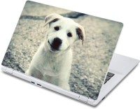 ezyPRNT Just Say Awwoo Pet Animal (13 to 13.9 inch) Vinyl Laptop Decal 13   Laptop Accessories  (ezyPRNT)
