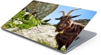 Lovely Collection ugly goat Vinyl Laptop Decal 15.6   Laptop Accessories  (Lovely Collection)