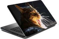 meSleep Cat 70-622 Vinyl Laptop Decal 15.6   Laptop Accessories  (meSleep)