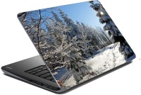 meSleep Nature LS-35-300 Vinyl Laptop Decal 15.6   Laptop Accessories  (meSleep)