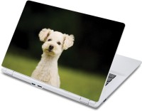 ezyPRNT Cute white Puppy Pet Animal (13 to 13.9 inch) Vinyl Laptop Decal 13   Laptop Accessories  (ezyPRNT)