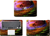 Swagsutra Colouart SKIN/DECAL Vinyl Laptop Decal 13   Laptop Accessories  (Swagsutra)