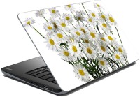 meSleep Nature LS-46-051 Vinyl Laptop Decal 15.6   Laptop Accessories  (meSleep)