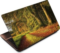Finest Autumn ATM048 Vinyl Laptop Decal 15.6   Laptop Accessories  (Finest)