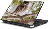 ezyPRNT The Dangerous Owl (15 to 15.6 inch) Vinyl Laptop Decal 15   Laptop Accessories  (ezyPRNT)