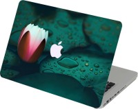Swagsutra Swagsutra Lotus shine Laptop Skin/Decal For MacBook Air 13 Vinyl Laptop Decal 13   Laptop Accessories  (Swagsutra)