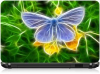 Ng Stunners Butterfly6 Vinyl Laptop Decal 15.6   Laptop Accessories  (Ng Stunners)