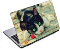 ezyPRNT Shhh! Cat is Stairing Pet Animal (14 to 14.9 inch) Vinyl Laptop Decal 14   Laptop Accessories  (ezyPRNT)