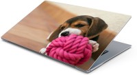 Lovely Collection lonely puppy Vinyl Laptop Decal 15.6   Laptop Accessories  (Lovely Collection)