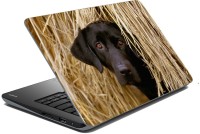 meSleep Dog LS-57-070 Vinyl Laptop Decal 15.6   Laptop Accessories  (meSleep)