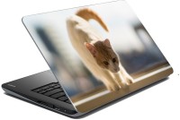 meSleep Cat 70-637 Vinyl Laptop Decal 15.6   Laptop Accessories  (meSleep)