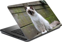 meSleep Cat LS-54-077 Vinyl Laptop Decal 15.6   Laptop Accessories  (meSleep)