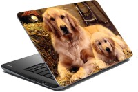 meSleep Dog LS-57-064 Vinyl Laptop Decal 15.6   Laptop Accessories  (meSleep)