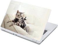 ezyPRNT Cat on sofa Pet Animal (13 to 13.9 inch) Vinyl Laptop Decal 13   Laptop Accessories  (ezyPRNT)