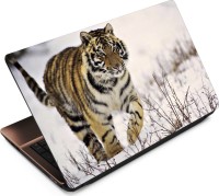 Anweshas Tiger T044 Vinyl Laptop Decal 15.6   Laptop Accessories  (Anweshas)