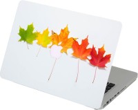 Swagsutra Swagsutra Leafs Laptop Skin/Decal For MacBook Air 13 Vinyl Laptop Decal 13   Laptop Accessories  (Swagsutra)