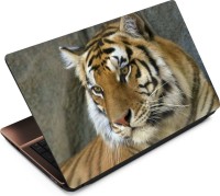 Anweshas Tiger T032 Vinyl Laptop Decal 15.6   Laptop Accessories  (Anweshas)