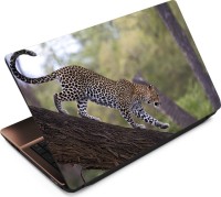 Anweshas Leopard LP060 Vinyl Laptop Decal 15.6   Laptop Accessories  (Anweshas)