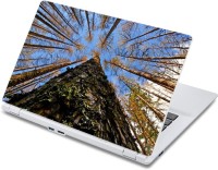 ezyPRNT Nature Sky Tree Forest Nature (13 to 13.9 inch) Vinyl Laptop Decal 13   Laptop Accessories  (ezyPRNT)