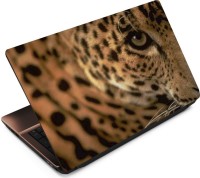 Anweshas Leopard Closeup Vinyl Laptop Decal 15.6   Laptop Accessories  (Anweshas)