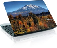 Shopmania MULTICOLOR-230 Vinyl Laptop Decal 15.6   Laptop Accessories  (Shopmania)