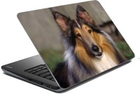 meSleep Dog LS-57-205 Vinyl Laptop Decal 15.6   Laptop Accessories  (meSleep)