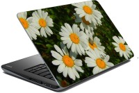 meSleep Nature LS-40-035 Vinyl Laptop Decal 15.6   Laptop Accessories  (meSleep)