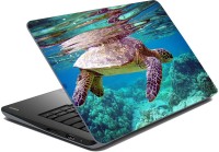 meSleep Turtle LS-85-021 Vinyl Laptop Decal 15.6   Laptop Accessories  (meSleep)
