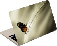 Sai Enterprises butterfly vinyl Laptop Decal 15.4   Laptop Accessories  (Sai Enterprises)