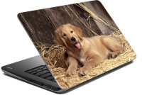 meSleep Dog LS-57-131 Vinyl Laptop Decal 15.6   Laptop Accessories  (meSleep)