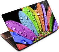 View Anweshas Colorfull Feather Vinyl Laptop Decal 15.6 Laptop Accessories Price Online(Anweshas)