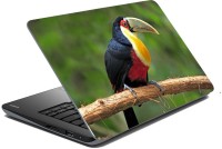 meSleep Wild Life 70-414 Vinyl Laptop Decal 15.6   Laptop Accessories  (meSleep)