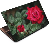 View Finest Flower FL12 Vinyl Laptop Decal 15.6 Laptop Accessories Price Online(Finest)