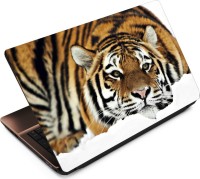 Anweshas Tiger T065 Vinyl Laptop Decal 15.6   Laptop Accessories  (Anweshas)