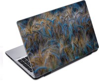 ezyPRNT Wheat Crops (14 to 14.9 inch) Vinyl Laptop Decal 14   Laptop Accessories  (ezyPRNT)