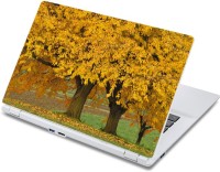 ezyPRNT Yellow Leaves in Autumn Nature (13 to 13.9 inch) Vinyl Laptop Decal 13   Laptop Accessories  (ezyPRNT)