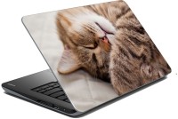 meSleep Cat 70-603 Vinyl Laptop Decal 15.6   Laptop Accessories  (meSleep)