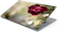 View Lovely Collection indian rose Vinyl Laptop Decal 15.6 Laptop Accessories Price Online(Lovely Collection)