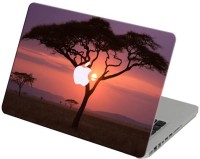 Theskinmantra Sunset Vinyl Laptop Decal 13   Laptop Accessories  (Theskinmantra)