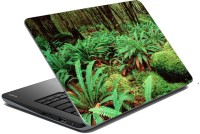 meSleep Nature LS-44-260 Vinyl Laptop Decal 15.6   Laptop Accessories  (meSleep)