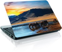 Shopmania water lake Vinyl Laptop Decal 15.6   Laptop Accessories  (Shopmania)