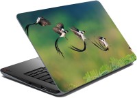 meSleep Birds 67-029 Vinyl Laptop Decal 15.6   Laptop Accessories  (meSleep)