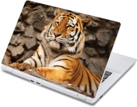 ezyPRNT The Tiger King Wildlife (13 to 13.9 inch) Vinyl Laptop Decal 13   Laptop Accessories  (ezyPRNT)